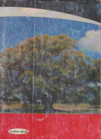 Seenicha_Suukkanneessaa_barri_Dhokse_በኦሮሚያ_የተደበቀው_221202_191911.pdf